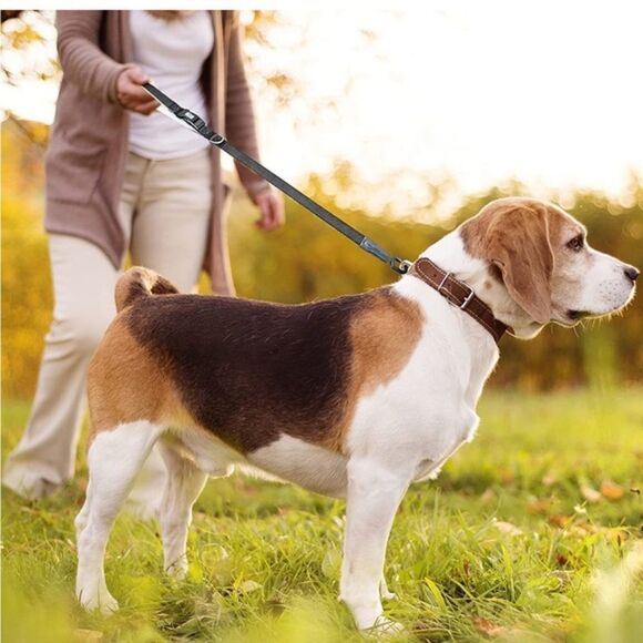 Emergency Escape Dog Leash Padded Handles&Traffic Handle and Escape Safe… - Picture 5 of 6